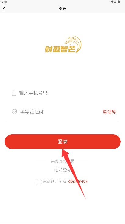 财盈智芒中文版