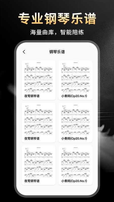 完美节奏钢琴最新版截图1