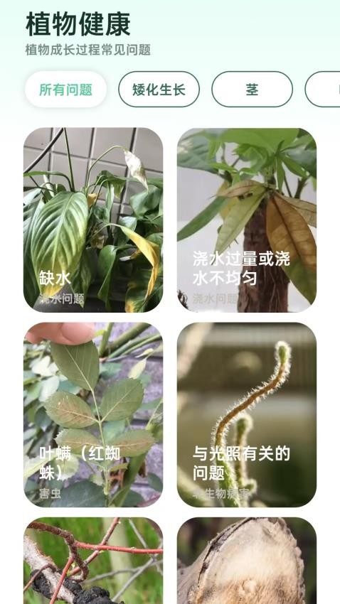爱馨花园截图2