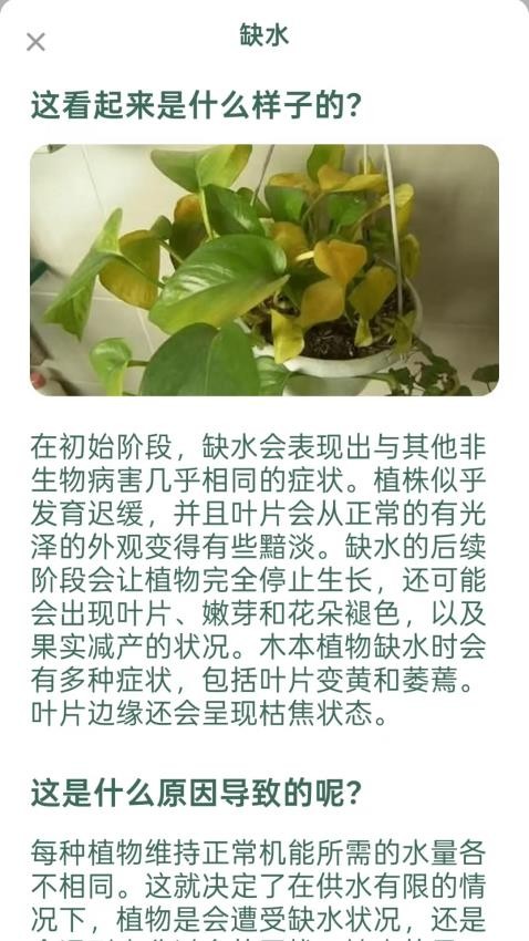 爱馨花园截图3