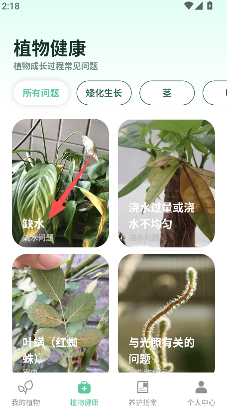爱馨花园