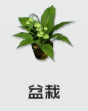 智能姬化