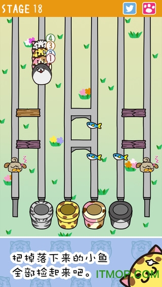 猫过马路(Crossy Cats)截图3