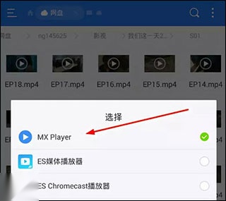 mxplayerpro专业版