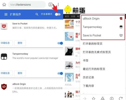 kiwibrowser2025最新版