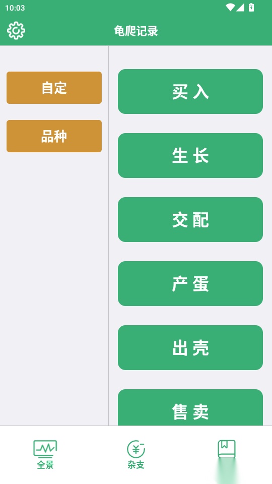 龟爬记录
