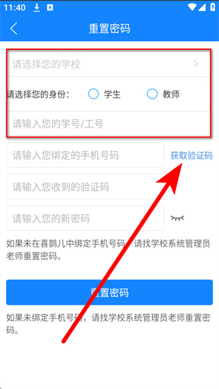 喜鹊儿