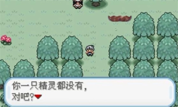 口袋妖怪火箭队截图1