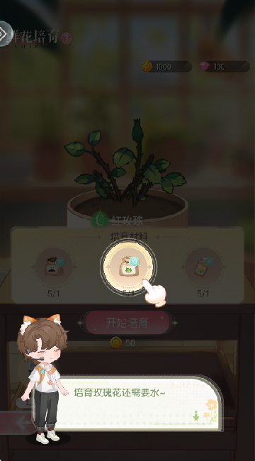 明星花店