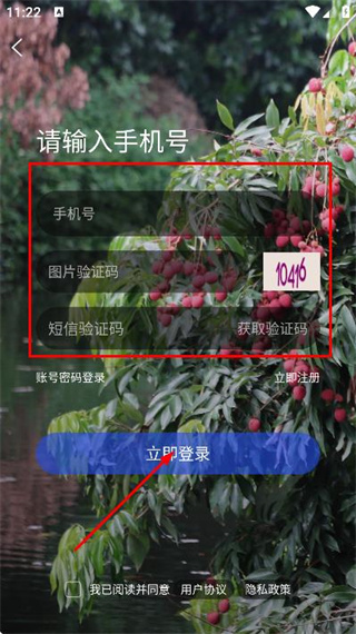 莆鱼网