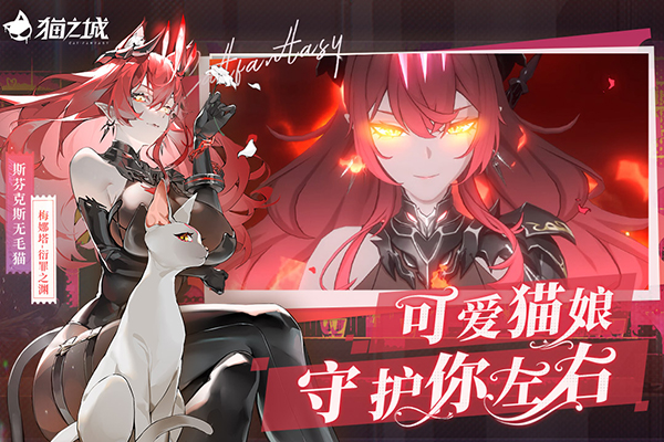 猫之城正版截图0