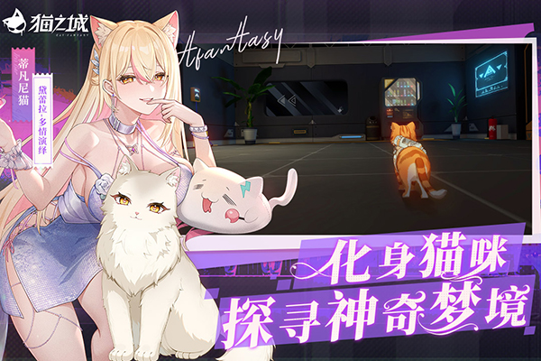 猫之城正版截图1