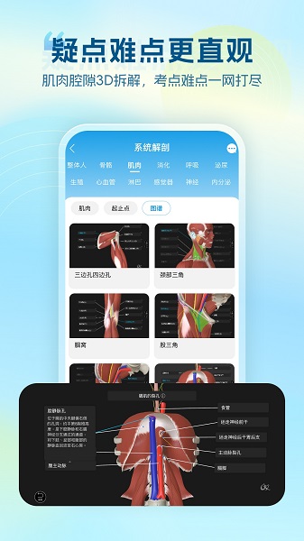 维萨里3D解剖截图1