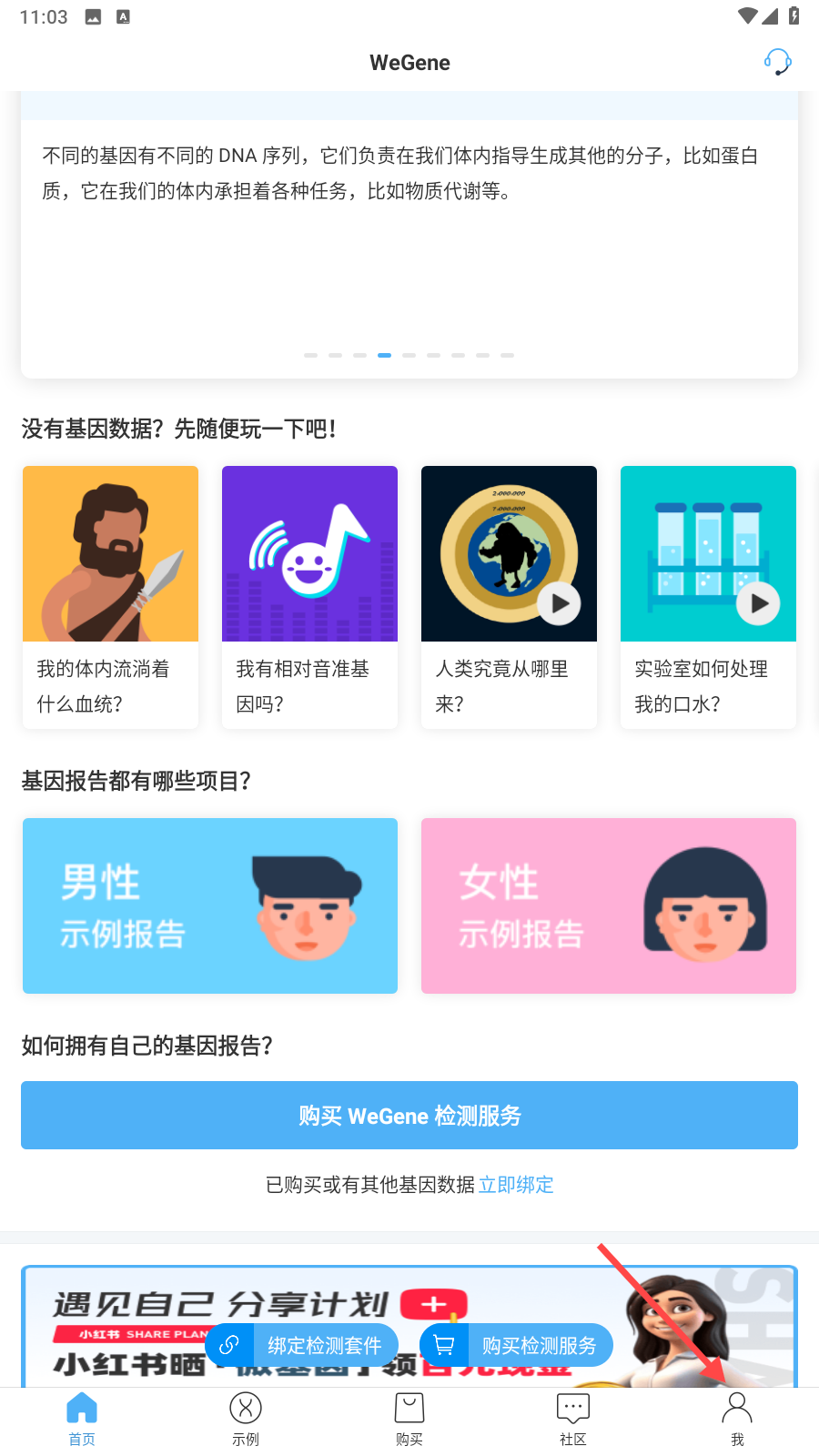 微基因