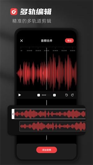 audiolab pro截图1