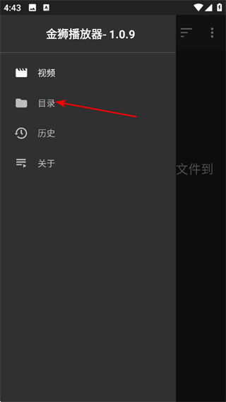 金狮播放器