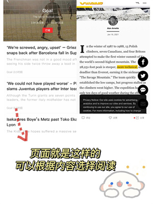 红板报最新版