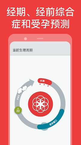 Clue截图0