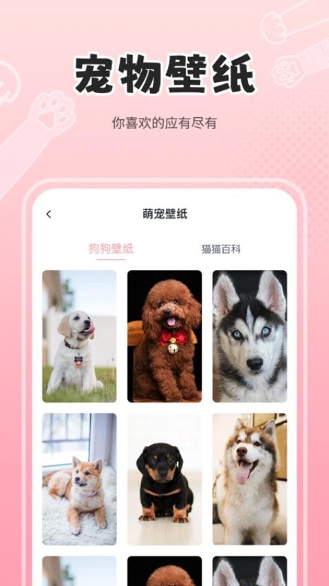 人狗猫交流器截图1