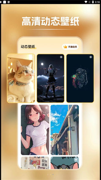 快玩壁纸安卓版截图1