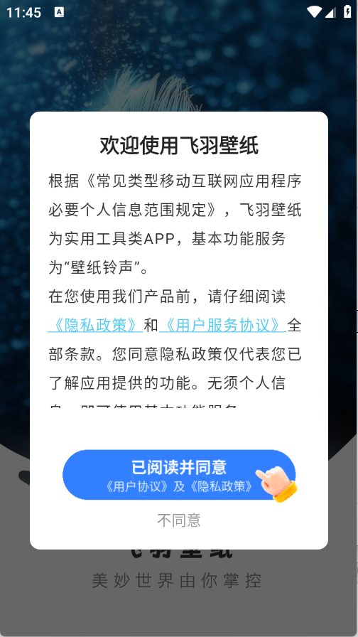 飞羽壁纸