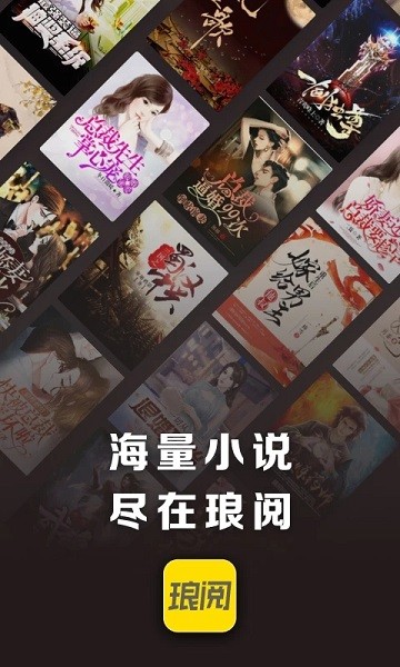 琅阅小说免费截图0