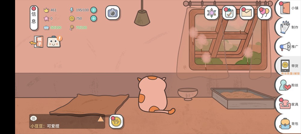 主播和猫的故事