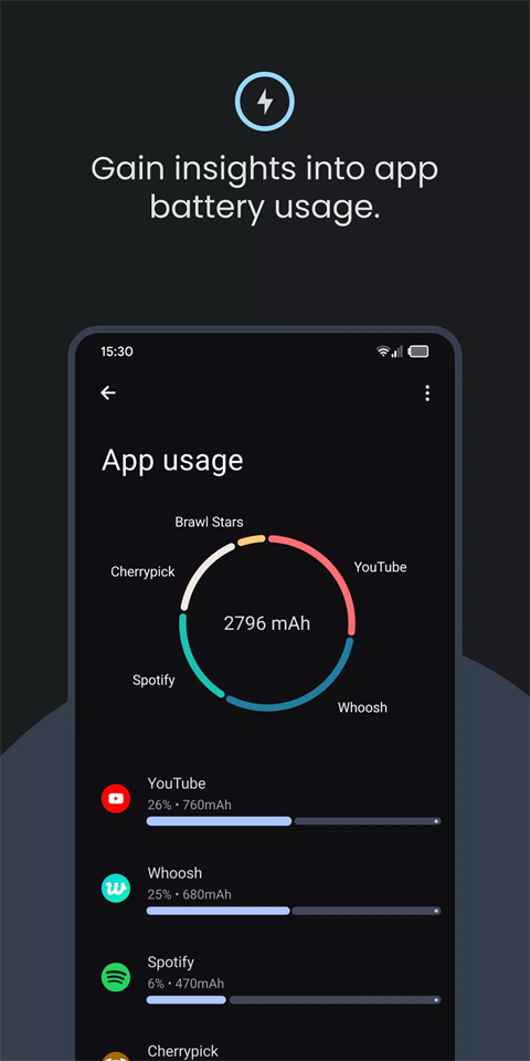 batteryguru最新汉化版截图2