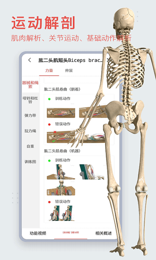 3dbody解剖软件截图1