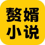 赘婿小说