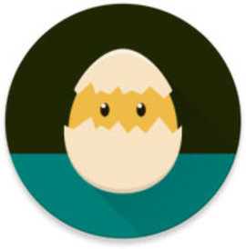 Shelter