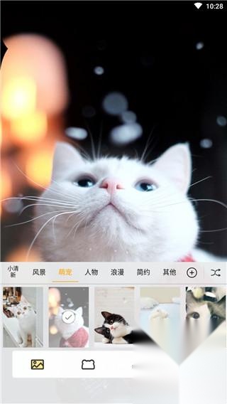 刘海壁纸