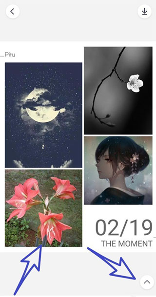 天天p图