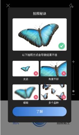 昆虫识别软件免费版