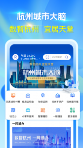 杭州城市大脑截图0