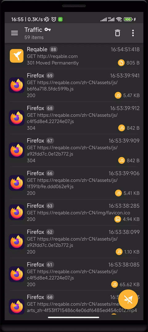 Reqable截图4