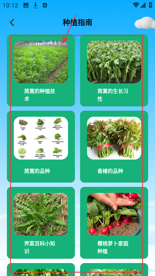 暖心小院子