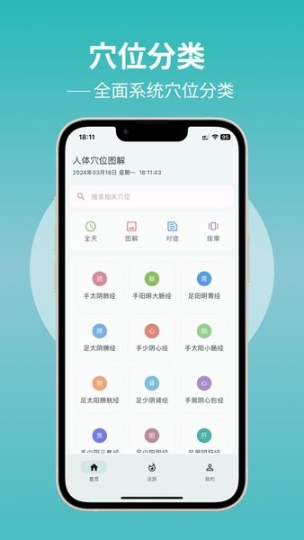 人体穴位图解截图3