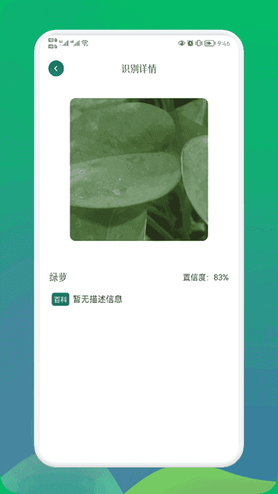 小园丁截图1