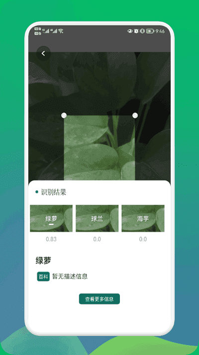 小园丁