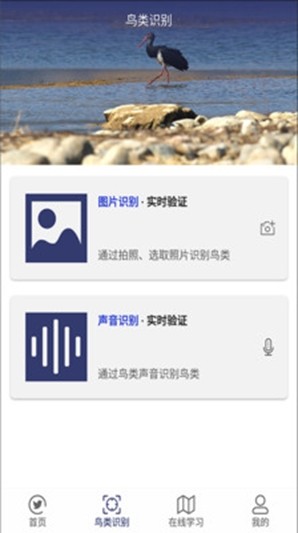图音识鸟截图0