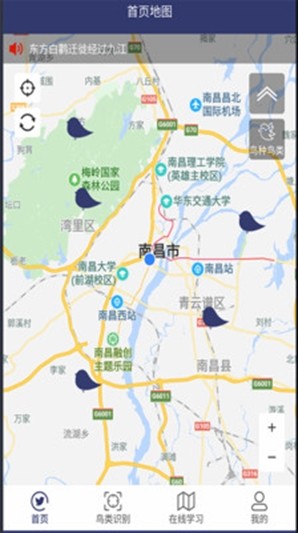 图音识鸟截图1