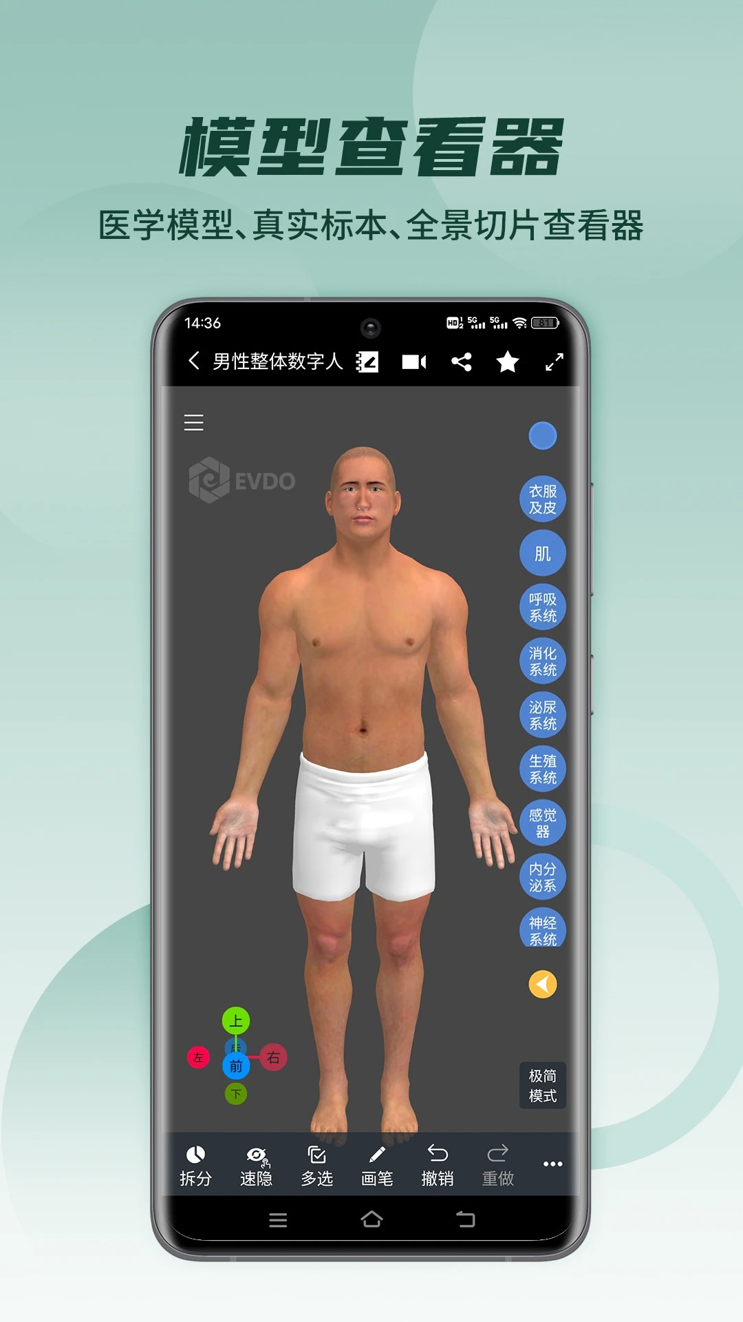 医维度解剖免费正版截图1
