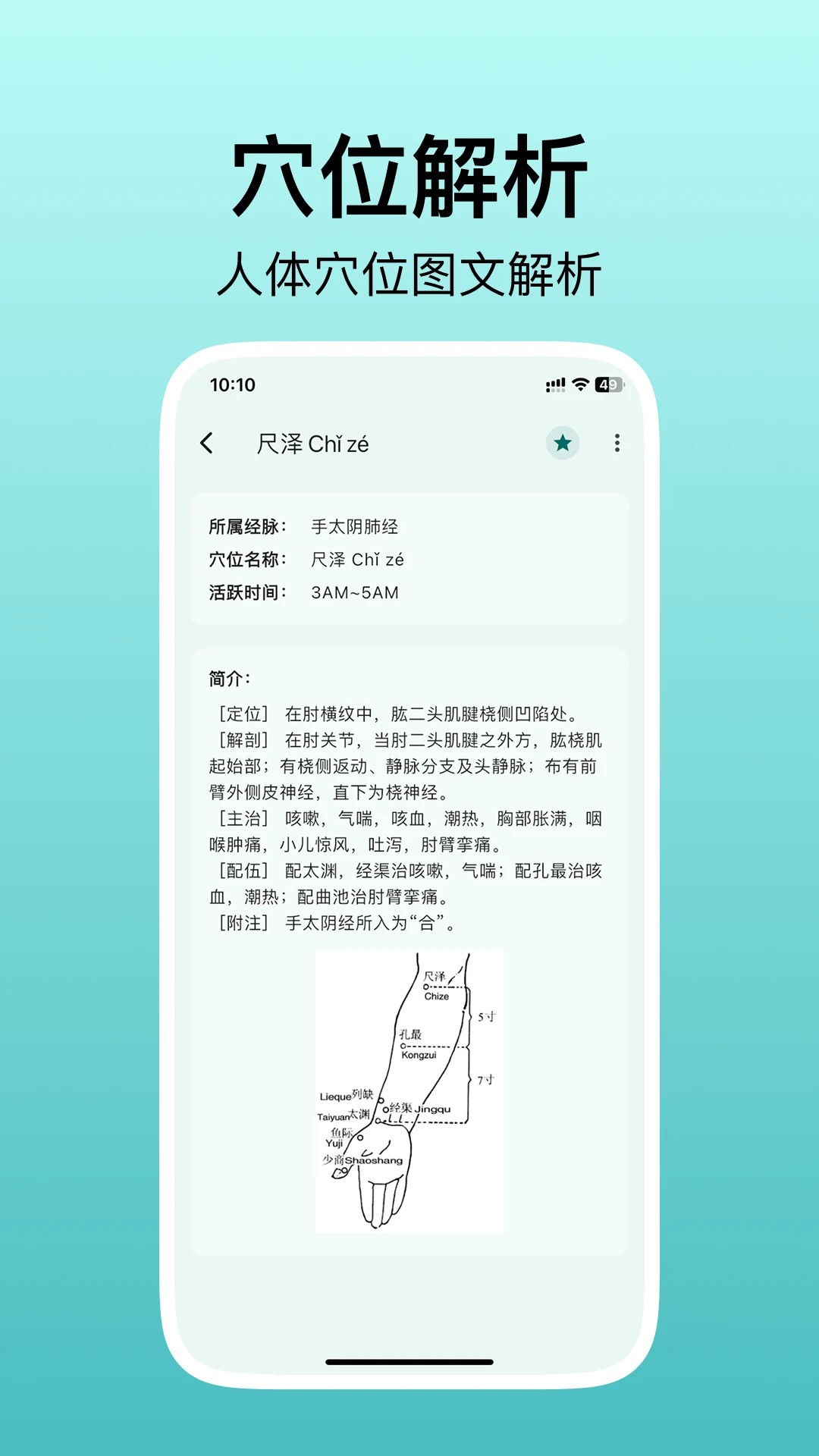 人体穴位图解手机版截图0