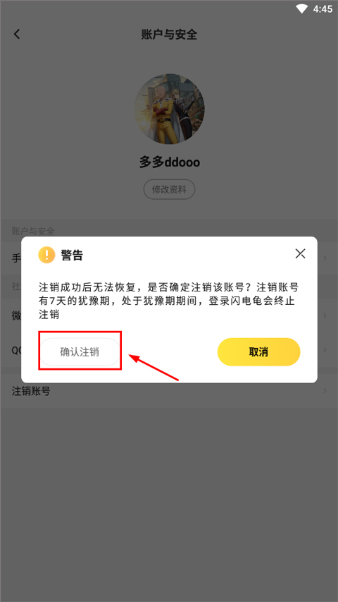 闪电龟国际服版