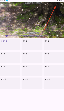 oneAnime动漫软件