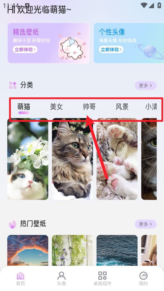 萌猫派对壁纸