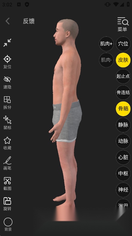 3Dbody解剖图手机版