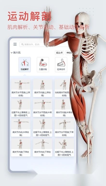 3Dbody解剖图手机版截图1