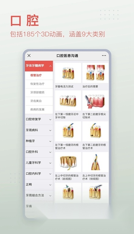 3Dbody解剖图手机版截图3